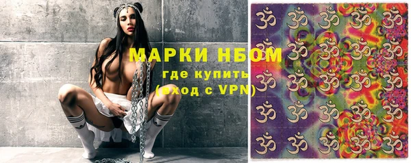 стафф Новозыбков