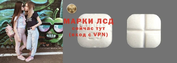 стафф Новокубанск