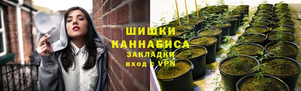 твердый Нея