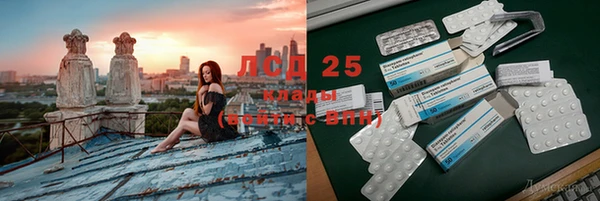 стафф Новокубанск