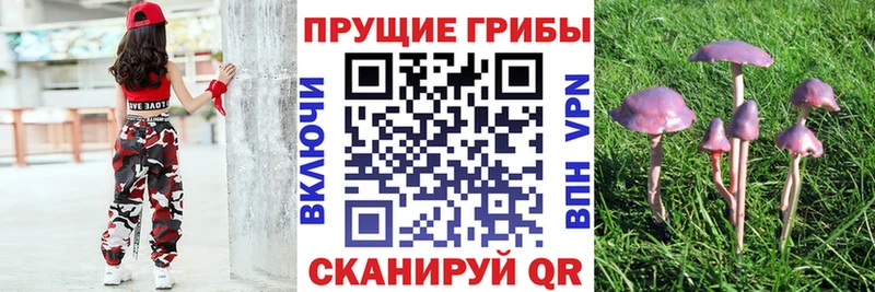 Псилоцибиновые грибы мухоморы Ковдор